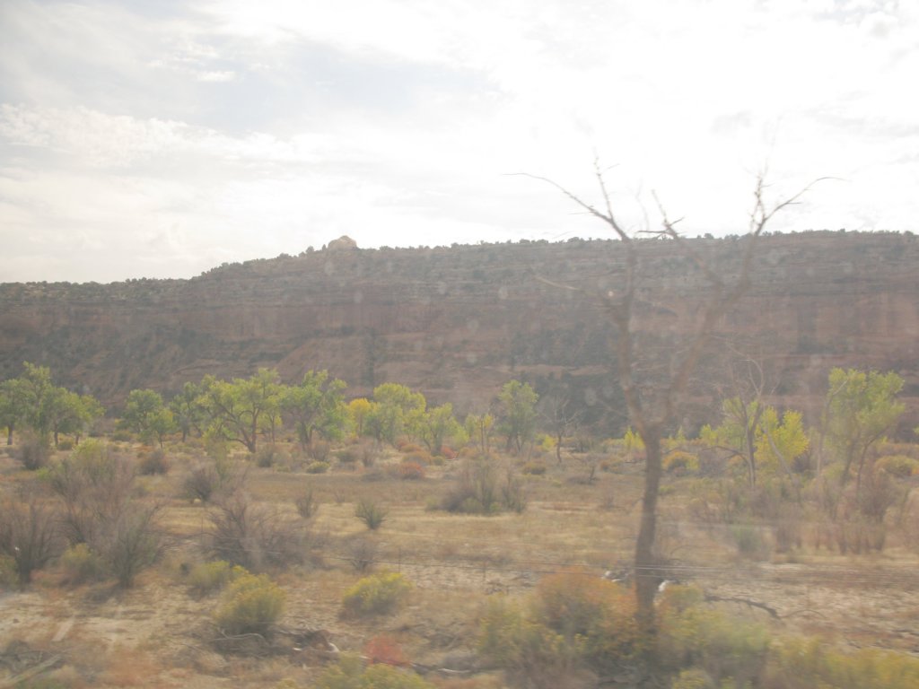 amtrakreno2010416.jpg