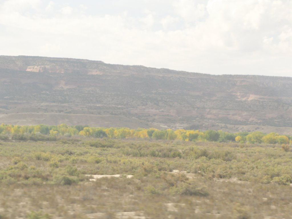 amtrakreno2010463.jpg