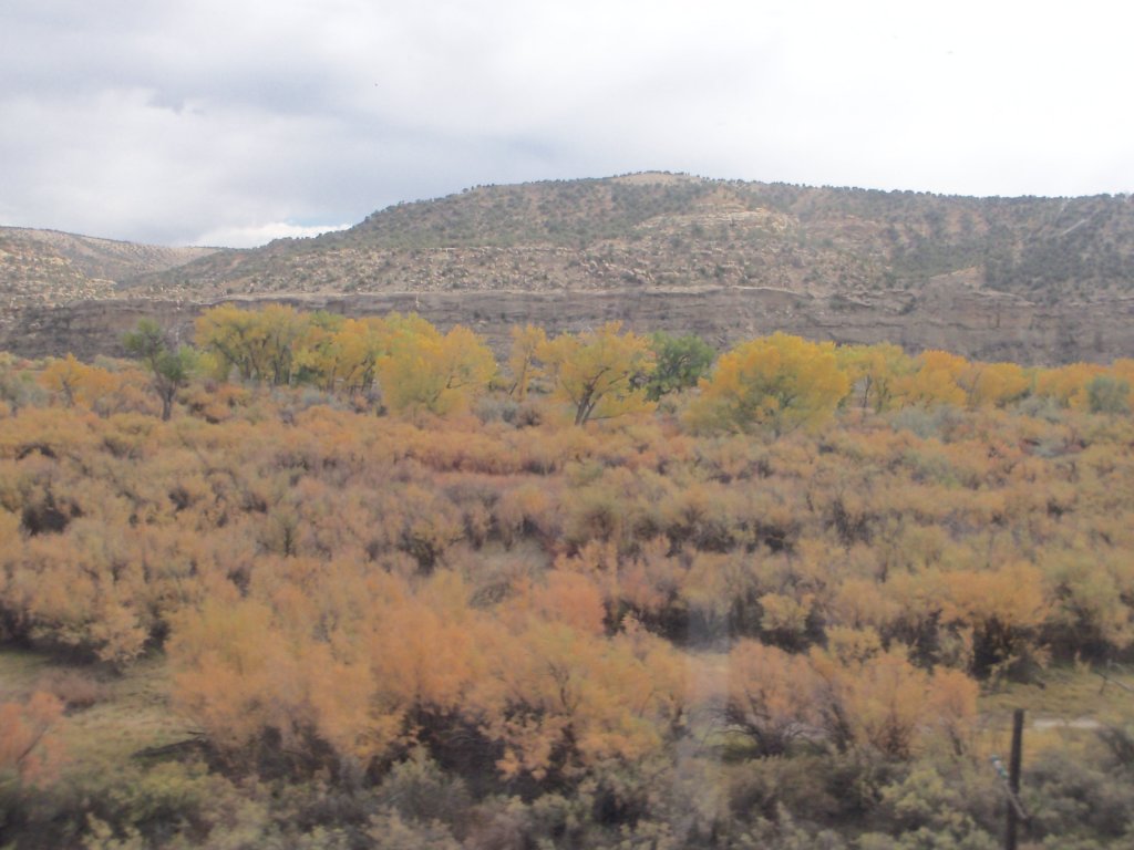 amtrakreno2010535.jpg