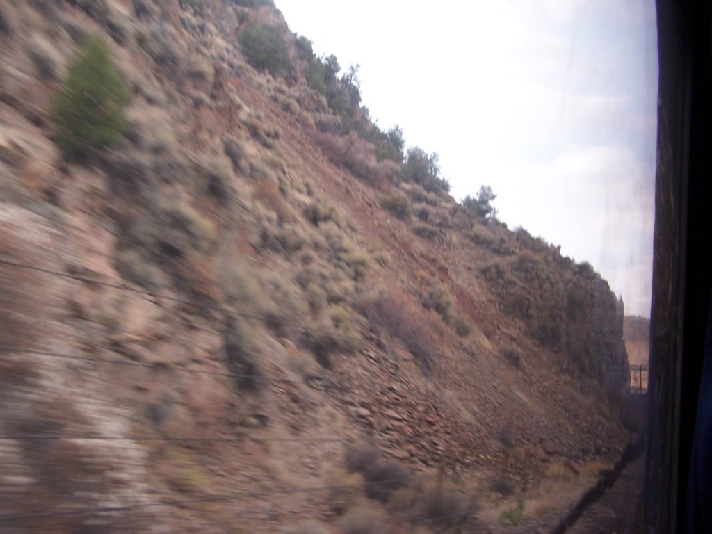 amtrakreno2010539.jpg