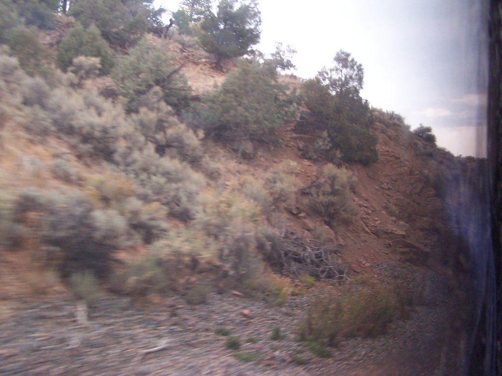 amtrakreno2010542.jpg
