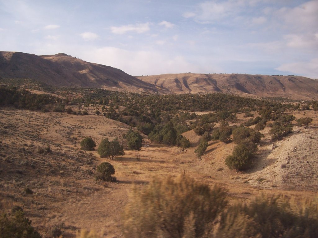 amtrakreno2010544.jpg