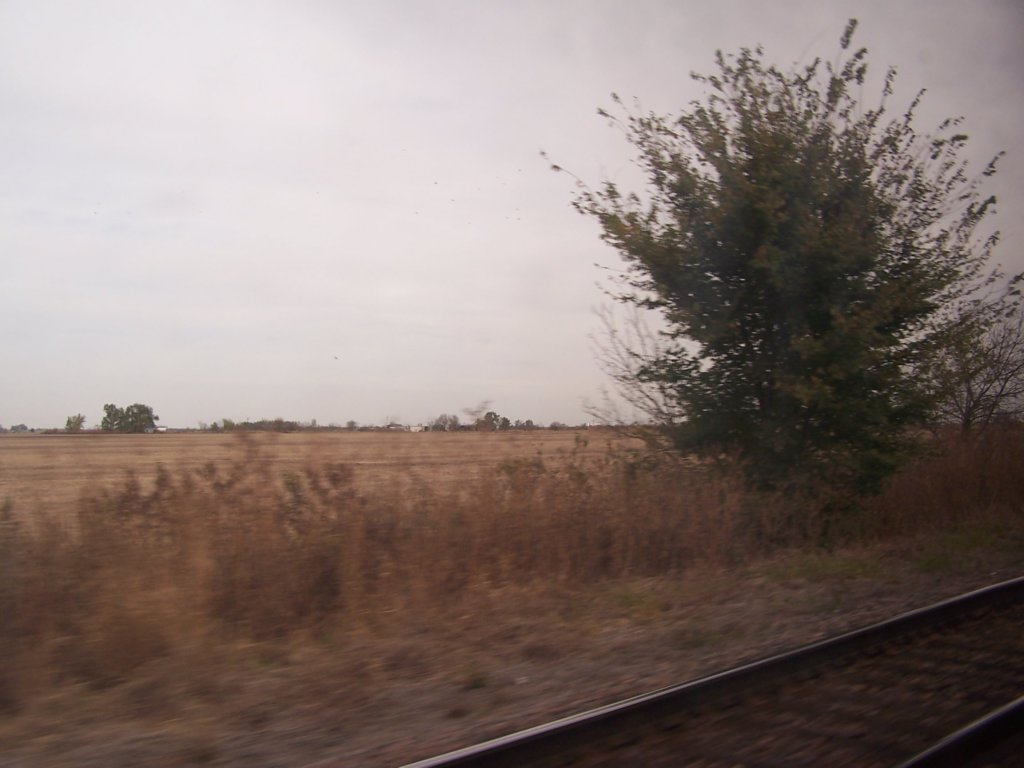 amtrakreno2010647.jpg