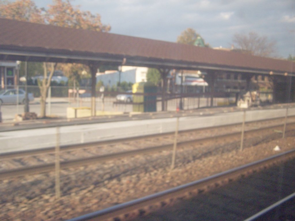 amtrakreno2010694.jpg